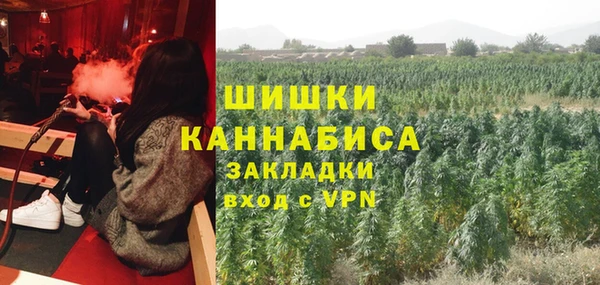 прущие крисы Алзамай