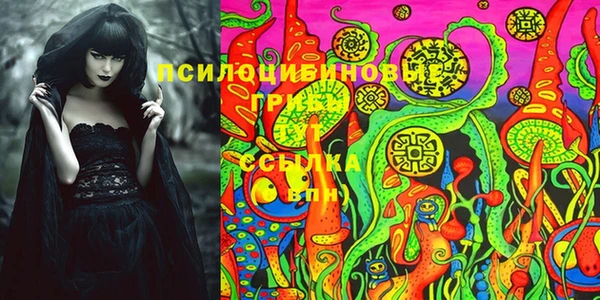 прущие крисы Алзамай